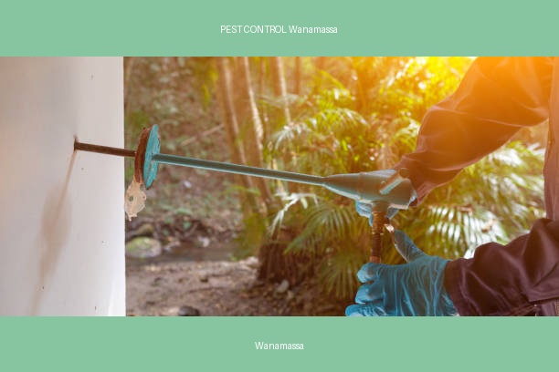 PEST CONTROL Wanamassa